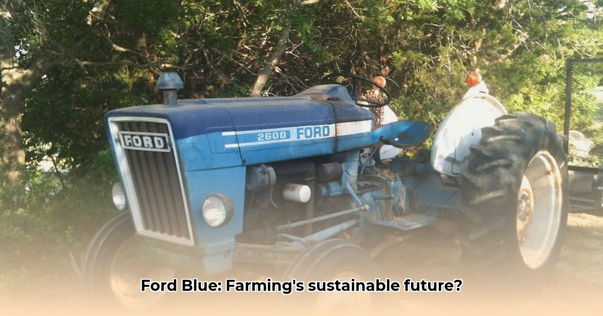ford-tractor-blue